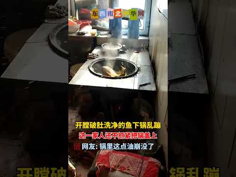 这鱼还知道自己翻身，它怕煎的不均匀 thumbnail
