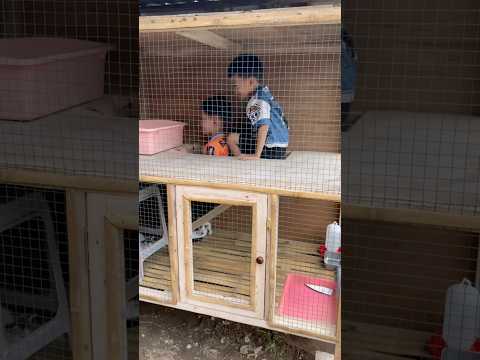 Kerjain Aijaz dan Eren karena gak mau keluar dari kandang kucing thumbnail