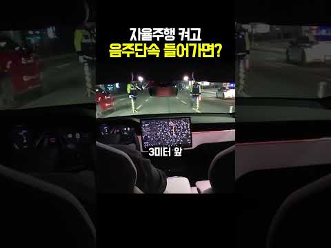 자율주행 켜고 음주단속 들어가면? thumbnail