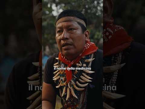 Perché l'Ayahuasca può essere pericolosa #shorts #progettohappiness #documentary thumbnail