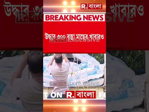 তৃণমূল নেতার ইটভাটা থেকে ত্রিপল উদ্ধার। ৫০০টি সরকারি ত্রিপল উদ্ধার পুলিশের। thumbnail