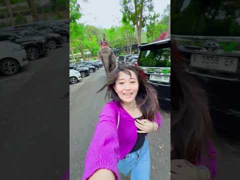 Aletha Di Kejar Gajah #alethaabew thumbnail