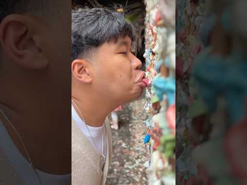 A Wall Made Out of GUM?! thumbnail