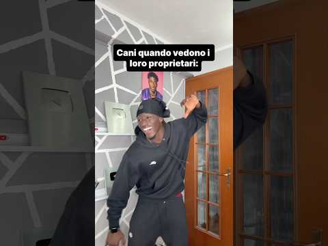 Cani vs gatti essere tipo 😂 thumbnail