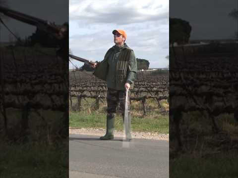 #hunting #chasse #remigaillard ⚠️ thumbnail