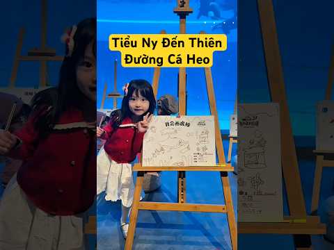 Thiên đường cá heo thumbnail