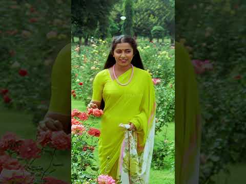 Muthamizh Kaviye Video Song | முத்தமிழ் கவியே | Dharmathin Thalaivan | Rajinikanth | Ilaiyaraaja thumbnail