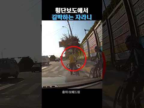 횡단보도에서 길막하는 자라니떼 thumbnail