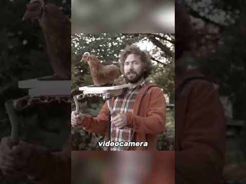 La Gallina con la Migliore Stabilizzazione al Mondo thumbnail