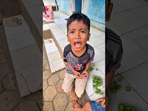 minta anggur hijau eh gadi bolehin??? thumbnail