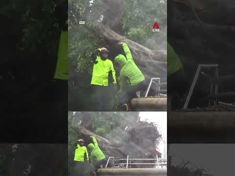 Tropical storm Jangmi injures 9 in Japan, leaves thousands without power thumbnail