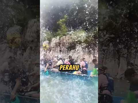 TRADISI LUCU Disalah Satu SUNGAI Di Meksiko ❗😂 #videoviral #lucu #kocak thumbnail