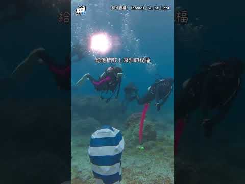 【把畢業典禮搬進海裡】綠島公館國小學童背氣瓶"潛入海底領證書" #shorts thumbnail