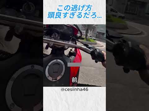 この逃げ方、頭良すぎるだろ…@cesiinha46 #バイカー #バイク #ヤバい #ショート動画 thumbnail