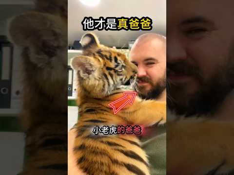 他不是親爸爸?卻比任何人愛我☺️ thumbnail