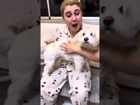 Baby Dog no thumbnail