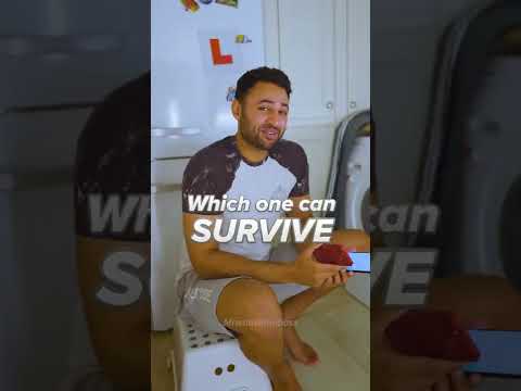 Samsung vs iPhone vs WASHING MACHINE! thumbnail