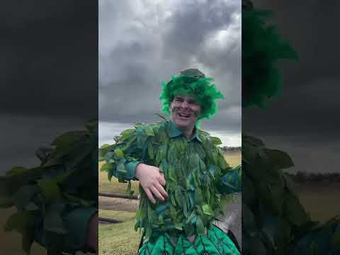 We call this one TREEBUTE 🌳✨ thumbnail