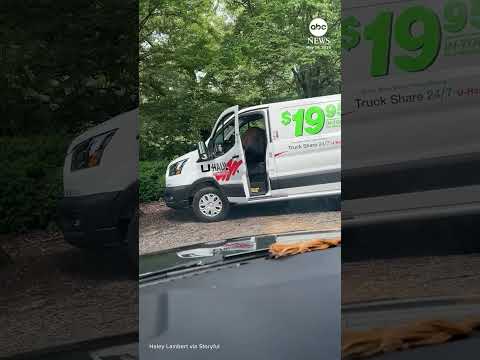 Bear caught red-handed stealing from van thumbnail