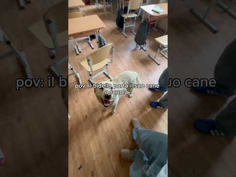 Un cane dentro la Nostra Classe (Spoiler era del Bidello) thumbnail