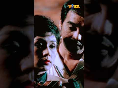 Mapagtagumpayan kaya ni Vilma Santos ang karupukan? #shorts #movieclips #vivafilms thumbnail