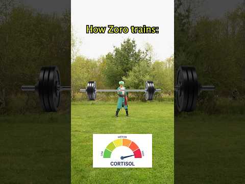 How Zoro & Mihawk train… #anime #onepiece #zoro #mihawk thumbnail