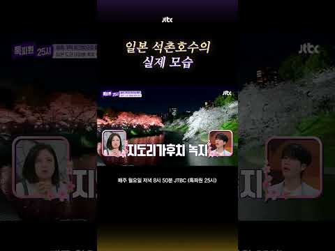 사랑을 이루고 싶다면 여기로 오세요 #톡파원25시 #shorts thumbnail