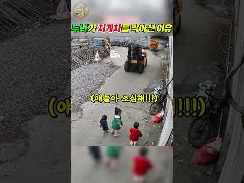 누나가 갑자기 지게차를 막아선 이유 thumbnail