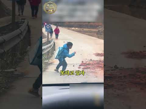 하교길 아이들이 도로의 벽돌을 치운 충격적인 이유! 모두를 감동시킨 따뜻한 행동 thumbnail