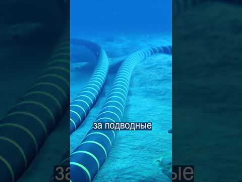 Иран Угрожает Перерезать Всем Интернет thumbnail