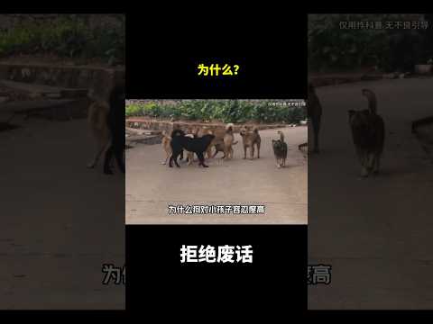 为什么？#冷知识 #涨知识 thumbnail
