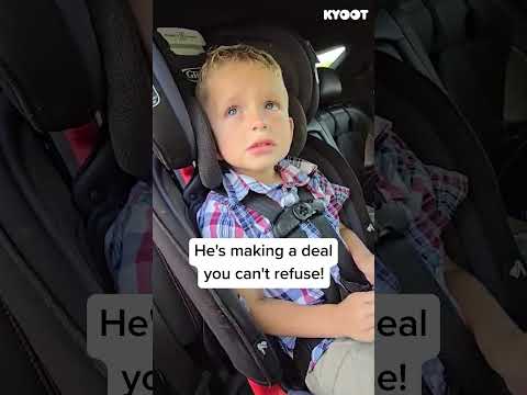 How can you say no this this face? ? #cute #funny #jokes #shorts thumbnail