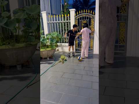 Bảo báo thì có/kỳ kỳ tv & Family #shortvideo thumbnail