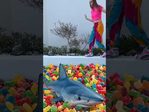 OMG Candy Shark #shorts by Anna Kova thumbnail