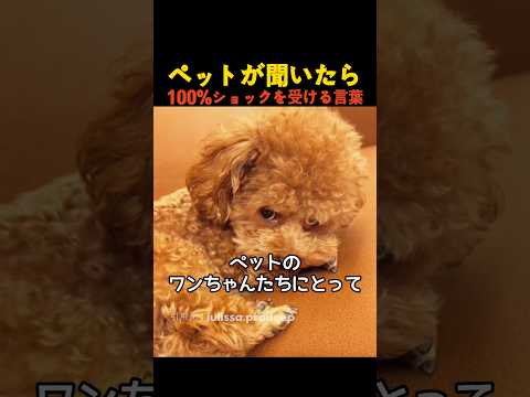 ペットが聞いたら100％ショックを受ける言葉 thumbnail