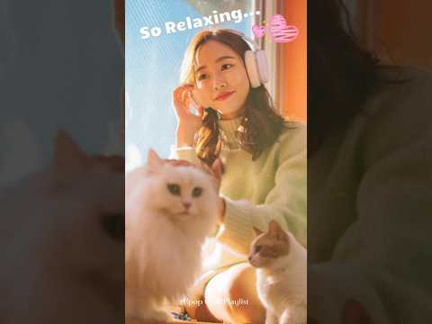 Cozy Cat Day ☀️ Korean Chill Music | Study / Relax / Sleep thumbnail