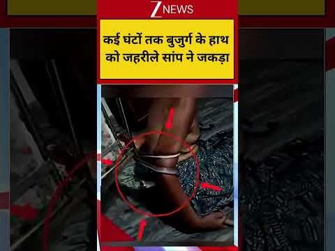 Viral Video: घंटों तक बुजुर्ग के हाथ को जहरीले सांप ने जकड़ा thumbnail