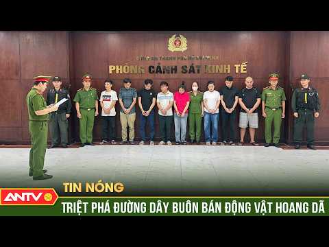 Khởi tố 4 cán bộ Kiểm lâm tiếp tay cho đường dây mua bán động vật hoang dã trái phép | ANTV thumbnail