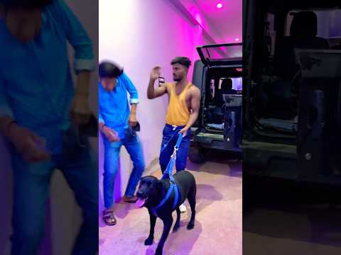 Dog ne dumbbell tod diya ??? #shortvideo #funnyshorts #comedyvideos #funnyvideo #funny thumbnail