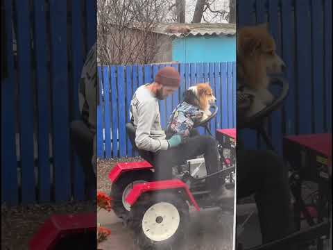 10 апреля 2026 г. thumbnail