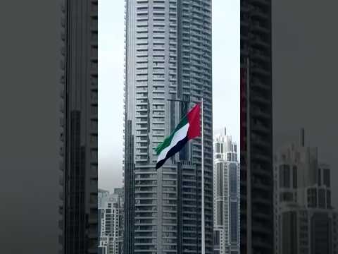 UAE to Leave OPEC in May as Iran War Reshapes Oil Market thumbnail