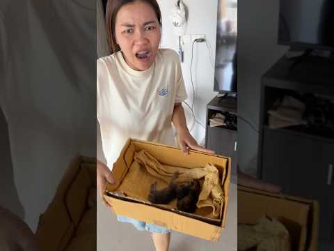 ลูกแมวโดนทิ้ง!! thumbnail