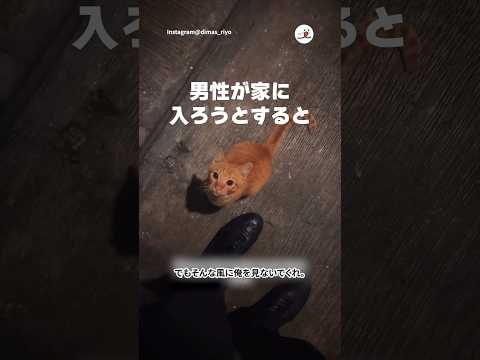 猫に選ばれた男｜PECO thumbnail
