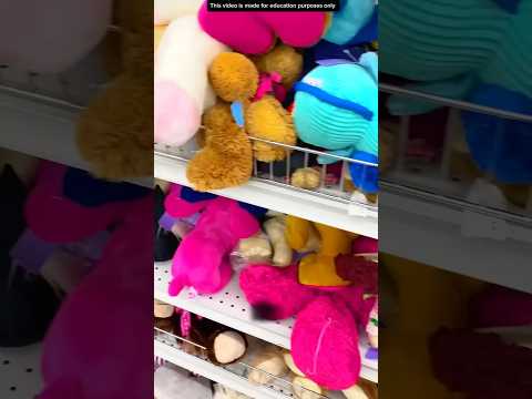 BINATANG GERAK DI DALAM BONEKA❗️ thumbnail