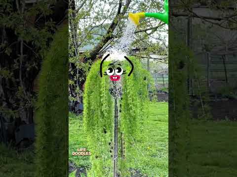 Life Doodles | The tree washes its head ? #lifedoodles #shorts #animation thumbnail
