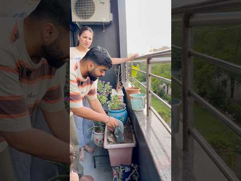 Gaurav nai lagaya shoes ka ped #gauravaroravlogs #youtubeshorts #shorts thumbnail