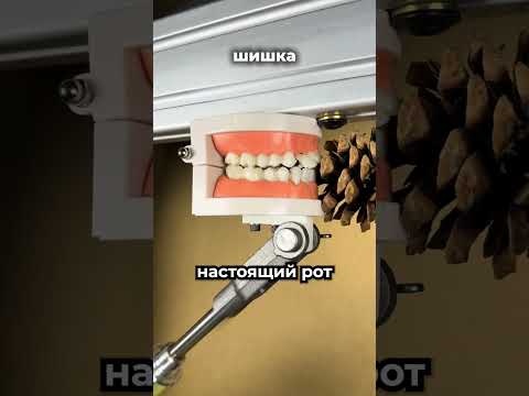 Люди жалеют, что не знали этот секрет раньше 😳 thumbnail
