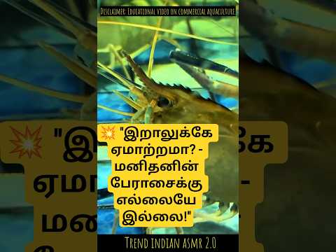 ​😱 இறாலின் கண்களை ஏன் சுடவைத்து கட் பண்றாங்க? | The Dark Secret of Shrimp Farming! 🦐🔥 thumbnail