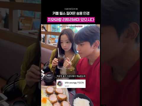 일본 여행간 리트리버와 치와와 thumbnail