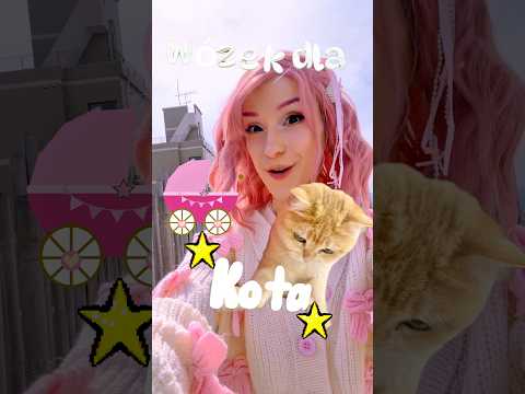 KUPUJĘ WÓZEK DLA KOTA!🐱 #kociakowy2026zpipi #japonia #podróżzkotem thumbnail